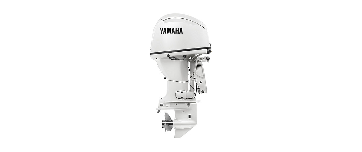 Yamaha F50C