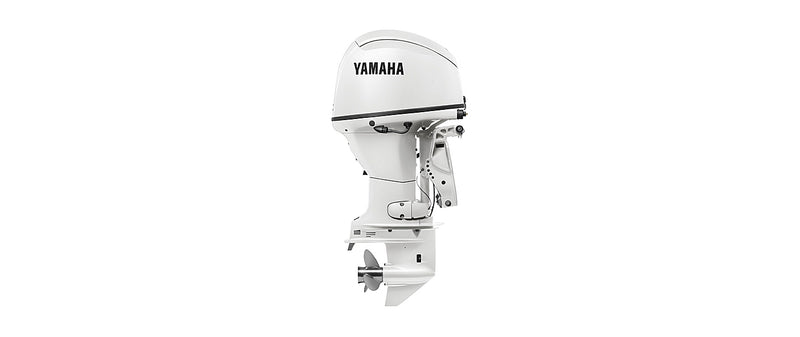 Yamaha F50C