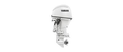 Yamaha F50C
