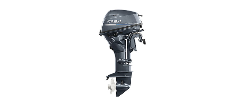 Yamaha F20WPHB