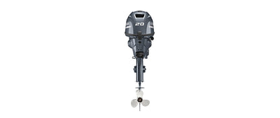 Yamaha F20WPHB