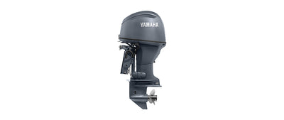Yamaha F60C