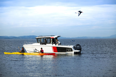 Jeanneau Merry Fisher 795 Sport