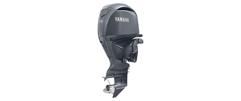 Yamaha F175C