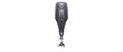 Yamaha F175C