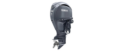 Yamaha F250SB