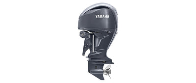Yamaha F250SB