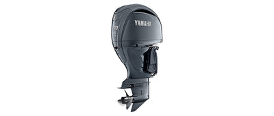 Yamaha F300CB