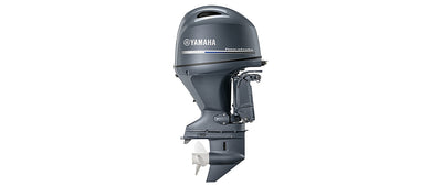 Yamaha F75B