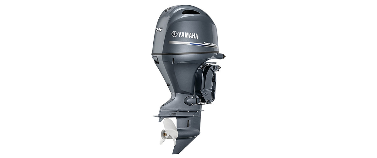 Yamaha F75B
