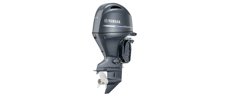 Yamaha F75B