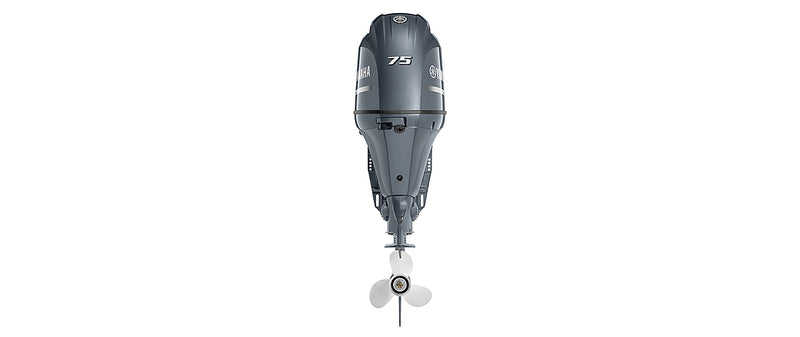 Yamaha F75B