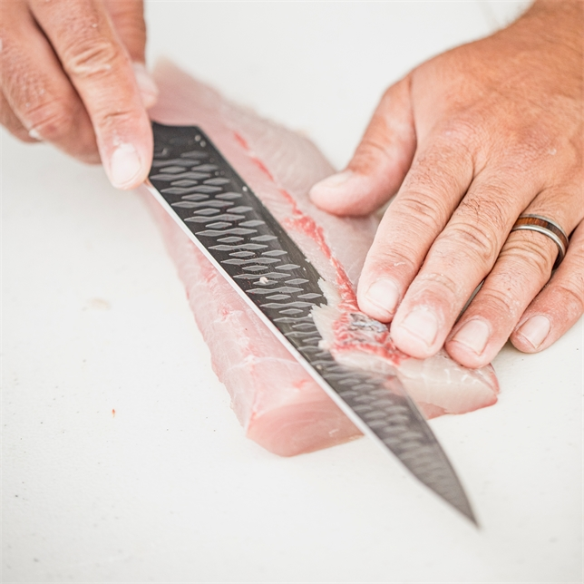 Gerber 9.5" Sushi Knife - SENGYO SLICER SALT RX