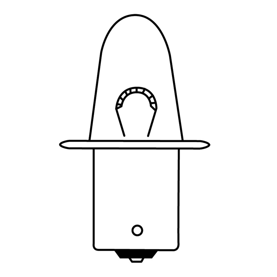 Bulbs – Torch