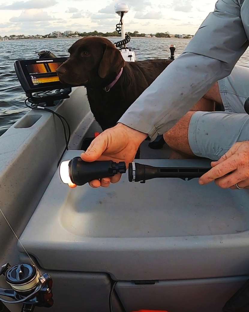 Railblaza Dinghy Visibility Kit