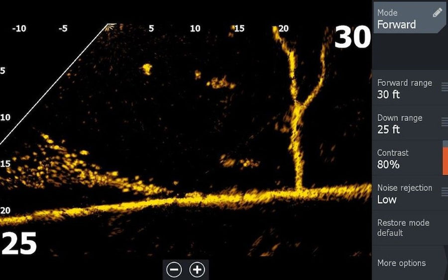 Lowrance ActiveTarget™ 2 Live Sonar