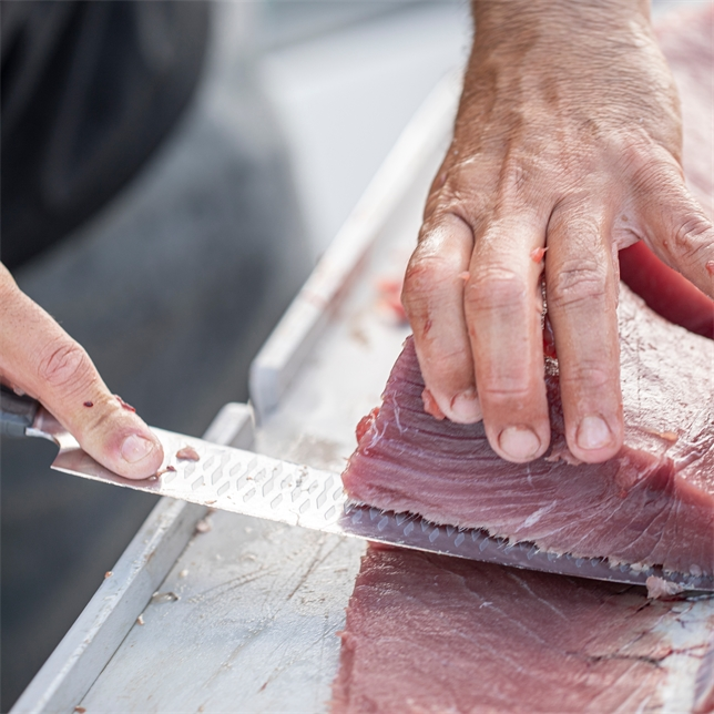 Gerber 9.5" Sushi Knife - SENGYO SLICER SALT RX