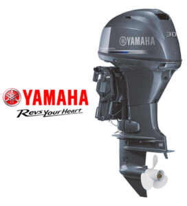 F30_800x600 copy