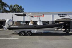 Sport 800 (With Trailer)