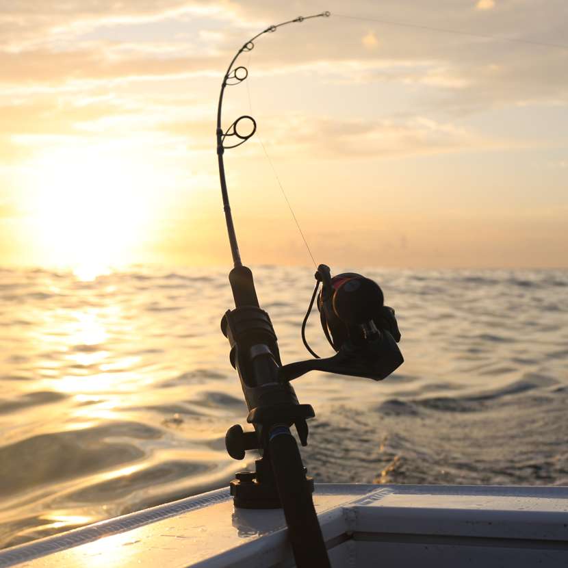 Railblaza HEXX Rod Holder - Image 3