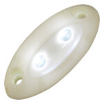 Courtesy Light – LED