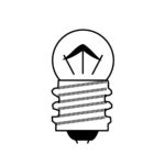 Bulbs – Torch