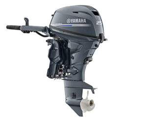 Yamaha F25 Tiller Overview 450 x 375