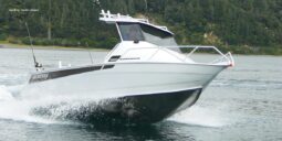 650 Workmate Hardtop Pro