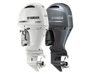 F200 WHITE & GREY