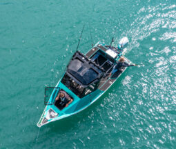 575 Workmate Pro Hardtop Pro