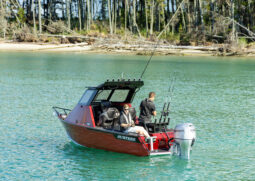 540 Workmate Hardtop Pro