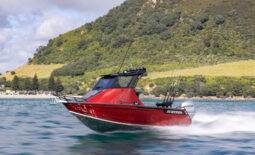 540 Workmate Hardtop Pro