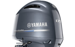 Yamaha F175