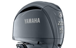 Yamaha F225