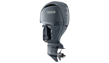 Yamaha F225 full